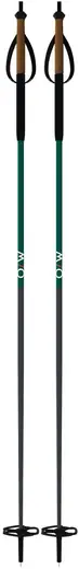 Fischer BC Carbon Cross Country Ski Poles